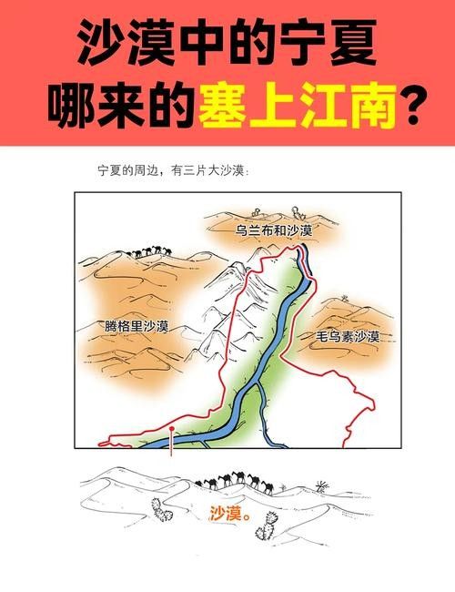 如何保存金龍魚河套平原雪花粉？（如何保存金龍魚河套平原雪花粉）