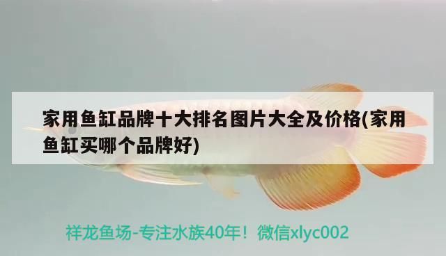 家用魚缸品牌十大排名圖片大全及價格(家用魚缸買哪個品牌好)（家用魚缸十大品牌十大品牌排名圖片大全及價格分享）