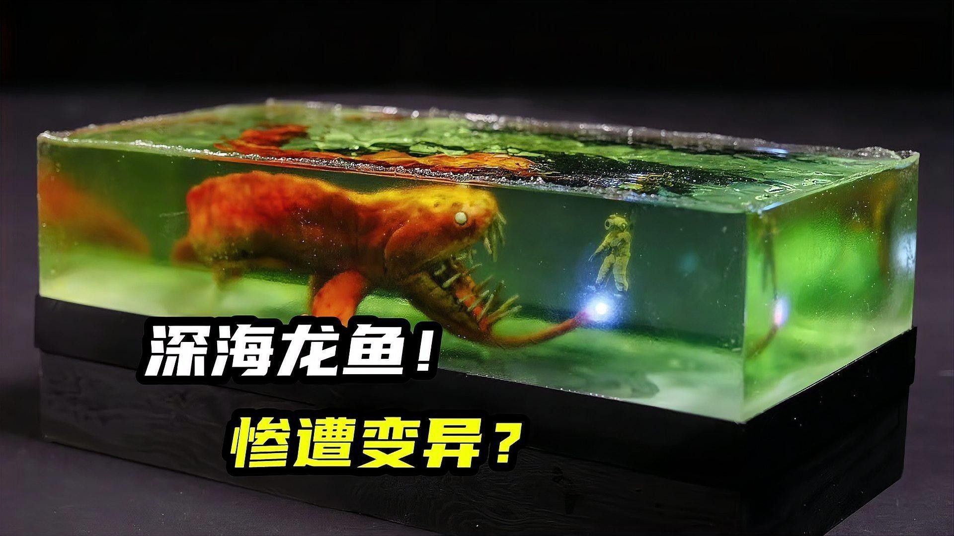 深海龍魚的市場需求如何（術魚，作為一種寵物市場的珍稀品種） 深海龍魚的市場需求如何（術魚，作為一種寵物市場的珍稀品種） 龍魚百科 第1張