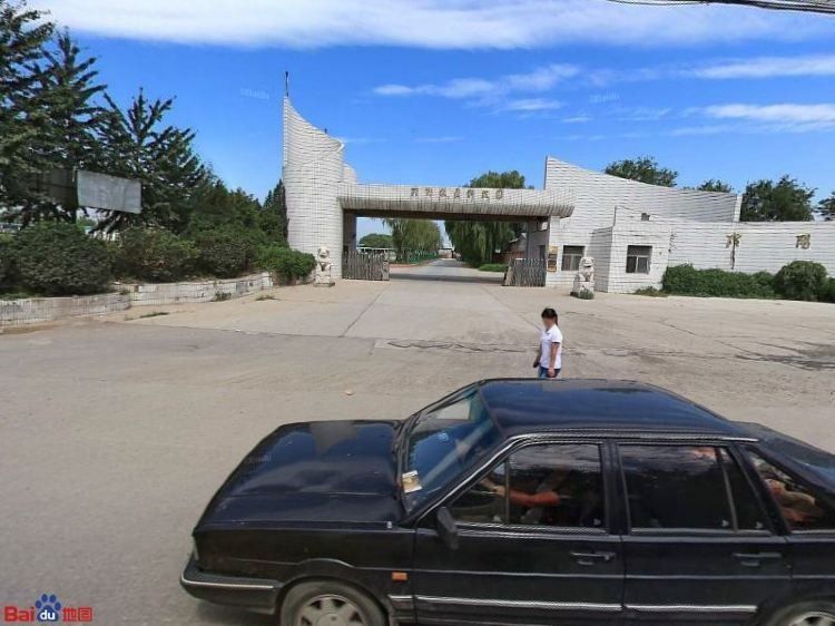 龍魚養(yǎng)殖基地的地址在哪里（廣州番禺區(qū)的龍魚養(yǎng)殖基地是一家專業(yè)的龍魚養(yǎng)殖場）