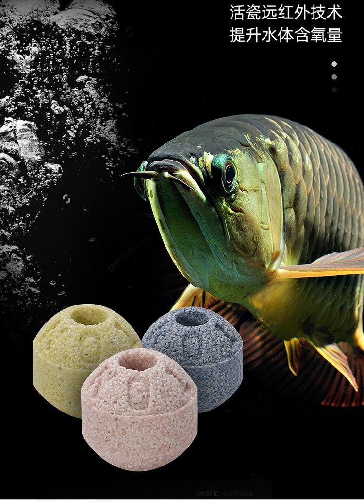 魚缸過濾材料細菌屋培菌環臺灣no1石英納米球魚池用凈水培菌濾材（專為魚缸設計的細菌屋培菌環） 魚缸過濾材料細菌屋培菌環臺灣no1石英納米球魚池用凈水培菌濾材（專為魚缸設計的細菌屋培菌環） 觀賞魚百科 第27張