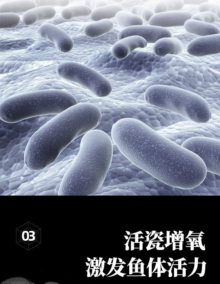 魚缸過濾材料細菌屋培菌環臺灣no1石英納米球魚池用凈水培菌濾材（專為魚缸設計的細菌屋培菌環） 魚缸過濾材料細菌屋培菌環臺灣no1石英納米球魚池用凈水培菌濾材（專為魚缸設計的細菌屋培菌環） 觀賞魚百科 第26張