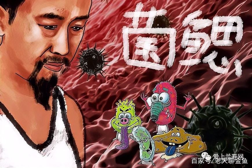 龍魚爛鰓需要治療多久（如何判斷龍魚爛鰓是否好轉(zhuǎn)？） 龍魚爛鰓需要治療多久（如何判斷龍魚爛鰓是否好轉(zhuǎn)？） 龍魚百科 第4張
