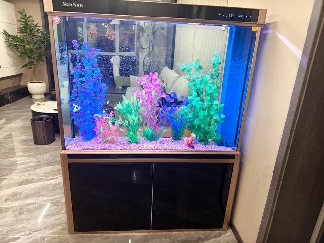 該店提供哪些品牌的水族箱？（京東2025年中國水族箱品牌top10權威榜單出爐）