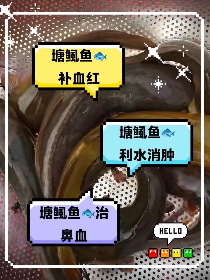 塘鲺魚（廣東人最愛吃的“塘鲺魚”廣東人最愛吃的做法你不學嗎）