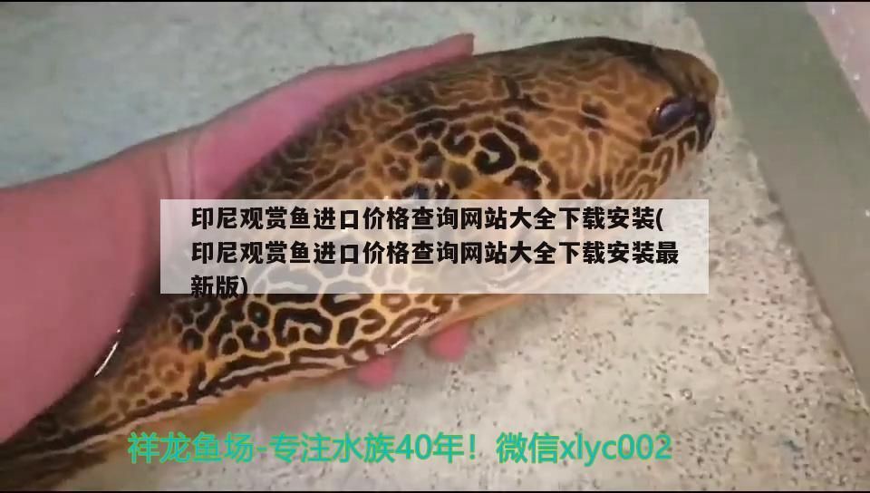 印尼觀賞魚進口價格查詢網站大全下載安裝(印尼觀賞魚進口價格查詢網站大全下載安裝最新版) 印尼觀賞魚進口價格查詢網站大全下載安裝(印尼觀賞魚進口價格查詢網站大全下載安裝最新版) 觀賞魚百科