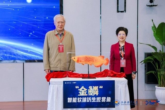 金龍魚仿生機器人未來有何發展規劃（金龍魚仿生機器人未來發展規劃） 金龍魚仿生機器人未來有何發展規劃（金龍魚仿生機器人未來發展規劃） 龍魚百科 第2張