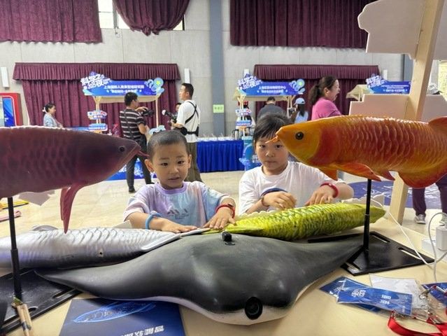 金龍魚仿生機器人未來有何發展規劃（金龍魚仿生機器人未來發展規劃） 金龍魚仿生機器人未來有何發展規劃（金龍魚仿生機器人未來發展規劃） 龍魚百科 第3張