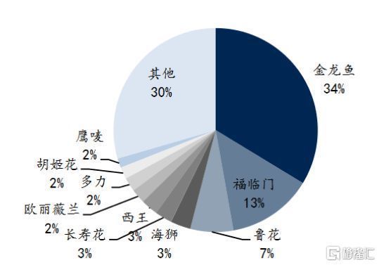 金龍魚(yú)祝福大家的話(贊美金龍魚(yú)的口號(hào))