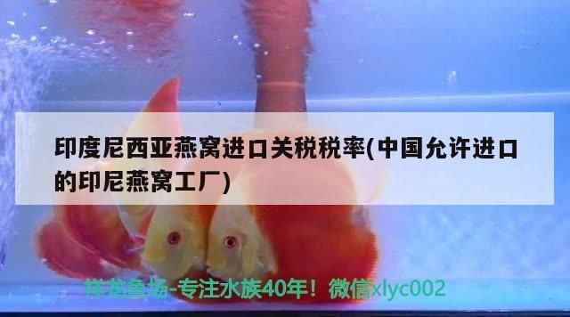黃石哪里有賣魚缸的地方在哪（黃石漁具批發(fā)市場(chǎng)在哪里）（西安哪里有賣魚缸的地方） 黃石哪里有賣魚缸的地方在哪（黃石漁具批發(fā)市場(chǎng)在哪里）（西安哪里有賣魚缸的地方） 觀賞魚百科 第2張