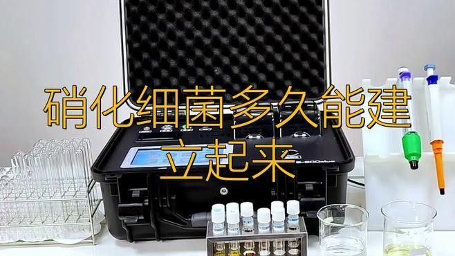 消毒后如何快速建立硝化系統(tǒng)？（如何在消毒后迅速建立有效的硝化系統(tǒng)）