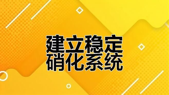 消毒后如何快速建立硝化系統(tǒng)？（如何在消毒后迅速建立有效的硝化系統(tǒng)）