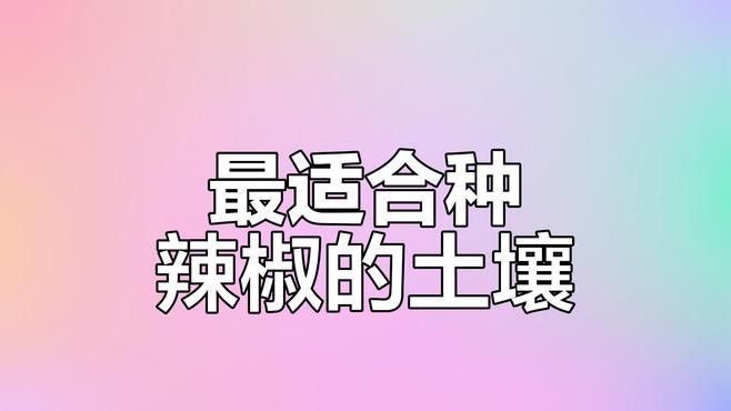 紅龍辣椒的種植方法（種植紅龍辣椒的簡單方法）