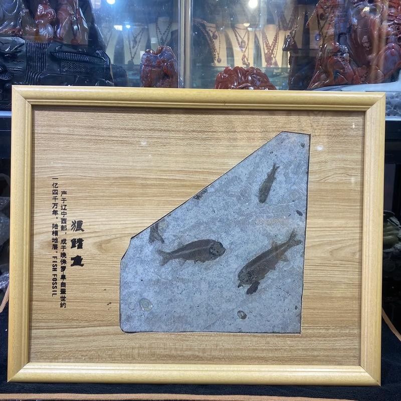 金龍魚鉆石眼是如何形成的？ 金龍魚鉆石眼是如何形成的？ 龍魚百科 第2張