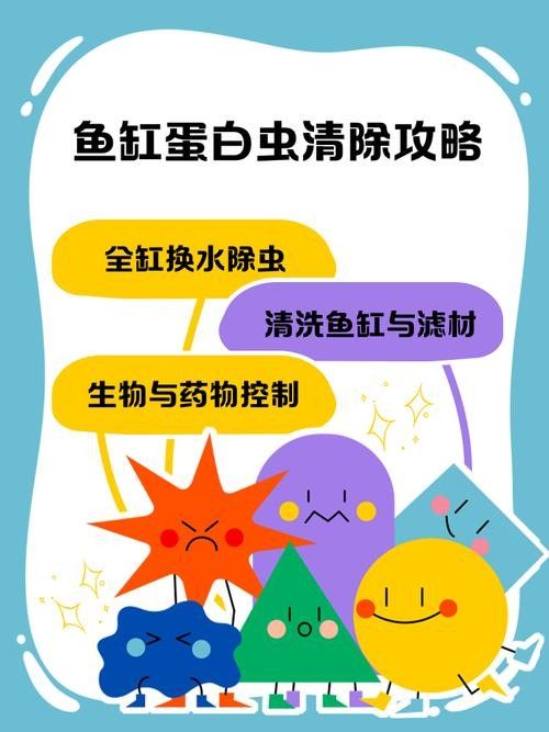 如何預防曼龍魚缸中的蛋白蟲（曼龍魚缸中的蛋白蟲問題是一個常見的水族箱養護挑戰） 如何預防曼龍魚缸中的蛋白蟲（曼龍魚缸中的蛋白蟲問題是一個常見的水族箱養護挑戰） 龍魚百科 第2張