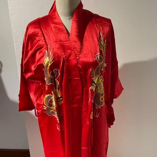紅龍服飾有哪些經典款式?(紅龍服飾的經典款式包括經典款式之一其經典款式之一) 龍魚百科 第3張 紅龍服飾有哪些經典款式?(紅龍服飾的經典款式包括經典款式之一其經典款式之一) 紅龍服飾有哪些經典款式?(紅龍服飾的經典款式包括經典款式之一其經典款式之一) 龍魚百科 第3張