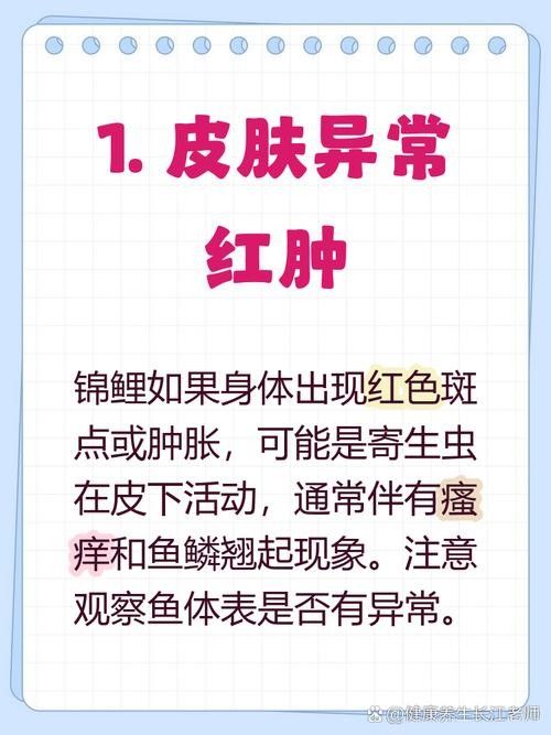 錦鯉常見魚病鑒別圖（基于癥狀的錦鯉常見魚病鑒別指南）