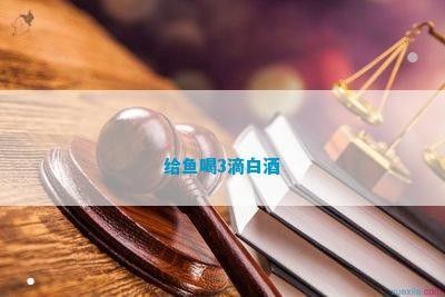 龍魚多久喝一次茶水合適（關于龍魚飲用茶水的頻率和飼養方法綜合判斷龍魚飲用茶水的頻率）