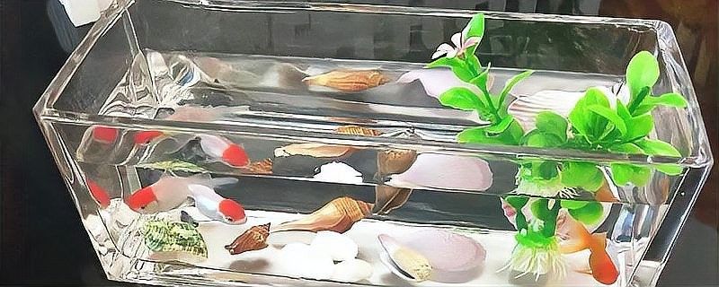 60厘米魚缸飼養龍魚需要多大的水流量？（60厘米魚缸飼養龍魚需要多大的水流量）