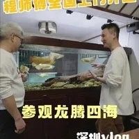 龍魚水族店提供上門服務(wù)嗎（魚水族店是否提供上門服務(wù)）