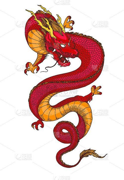 有沒有簡化版紅龍紋身設(shè)計（簡化版紅龍紋身設(shè)計）