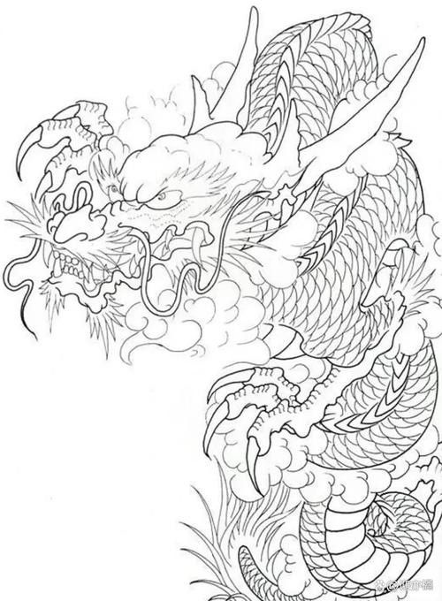 有沒有簡化版紅龍紋身設(shè)計（簡化版紅龍紋身設(shè)計）