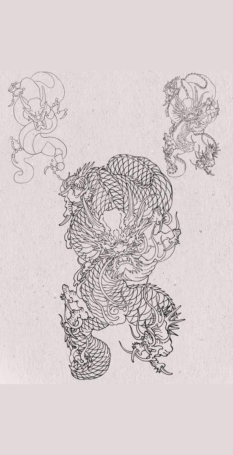 有沒有簡化版紅龍紋身設(shè)計（簡化版紅龍紋身設(shè)計）