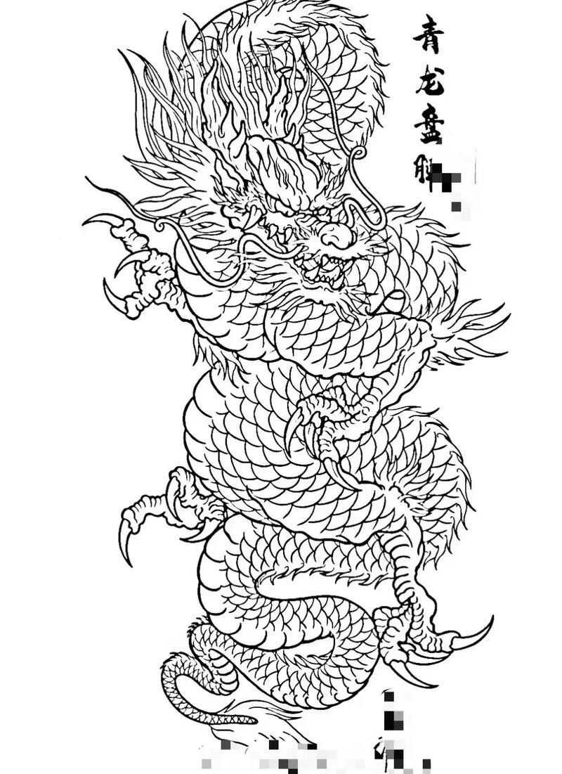 有沒有簡化版紅龍紋身設(shè)計（簡化版紅龍紋身設(shè)計）