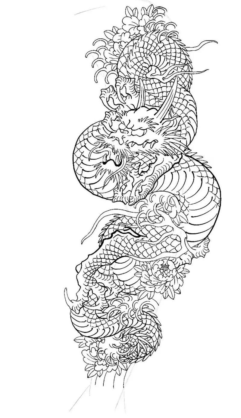 有沒有簡化版紅龍紋身設(shè)計（簡化版紅龍紋身設(shè)計）