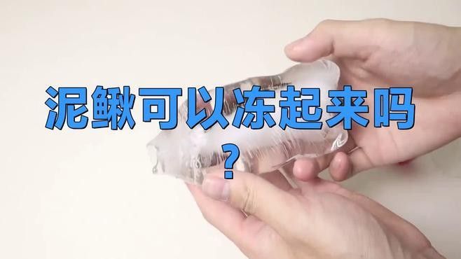 處理后的泥鰍可以保存多久？（處理后的泥鰍可以保存多久）