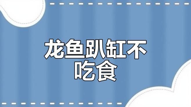 倒缸后龍魚不進食怎么辦？（倒缸后龍魚不吃東西怎么辦？）