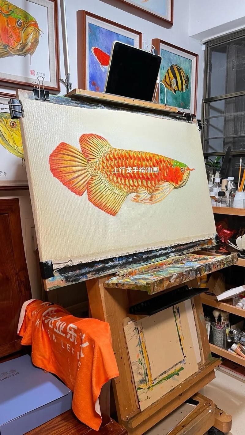 哪里可以找到高清的赤血紅龍魚圖片（如何找到高清的赤血紅龍魚圖片）