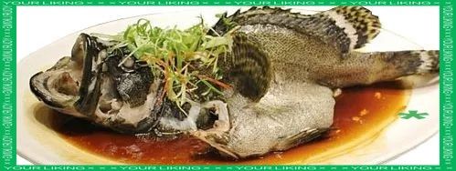 龍躉魚烹飪時需要腌制嗎（清蒸龍躉魚怎么做_舞之靈小食堂_舞之靈）