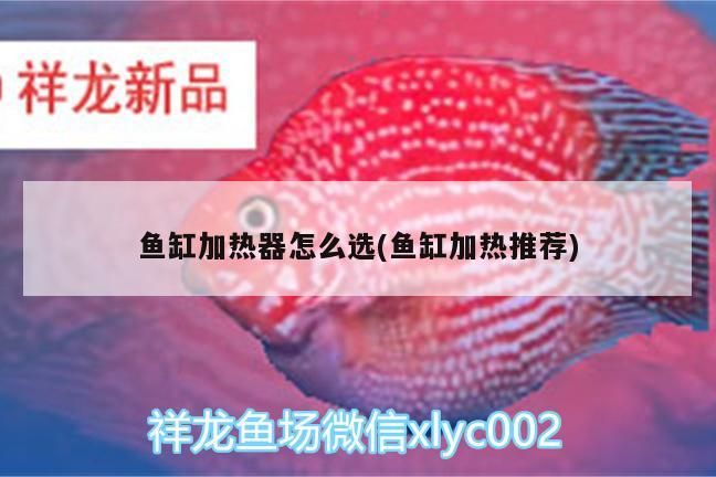 鸚鵡魚和銀龍魚混養怎樣喂食 魚缸加熱器怎么選(魚缸加熱推薦)(魚缸加熱棒、加熱棒、加熱棒、sunsun/森森森水族箱加熱棒) 觀賞魚百科 魚缸加熱器怎么選(魚缸加熱推薦)(魚缸加熱棒、加熱棒、加熱棒、sunsun/森森森水族箱加熱棒) 魚缸加熱器怎么選(魚缸加熱推薦)(魚缸加熱棒、加熱棒、加熱棒、sunsun/森森森水族箱加熱棒) 觀賞魚百科