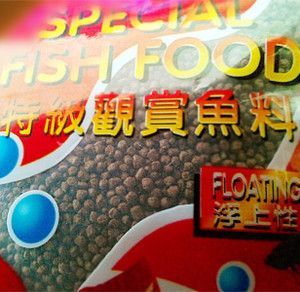 觀賞魚和魚食去什么地方批發(fā)：如何選擇觀賞魚批發(fā)市場