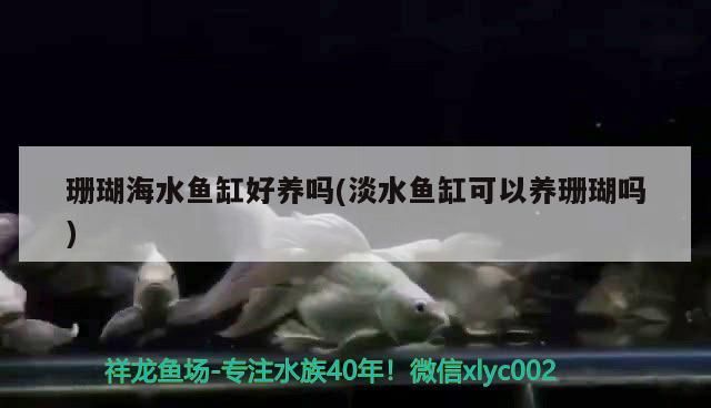 沈陽觀賞魚批發市場電話是多少(沈陽觀賞魚批發市場電話是多少號碼)