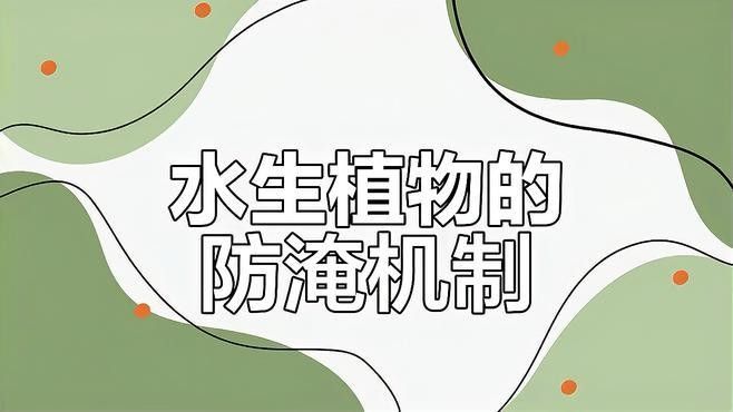如何降低雷龍魚對(duì)燈魚的攻擊風(fēng)險(xiǎn)（雷龍魚飼養(yǎng)全攻略） 如何降低雷龍魚對(duì)燈魚的攻擊風(fēng)險(xiǎn)（雷龍魚飼養(yǎng)全攻略） 龍魚百科 第1張