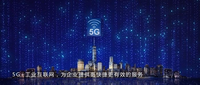 如何查詢帝龍漁業龍魚證書真偽（如何查詢帝龍漁業龍魚證書的真偽？）