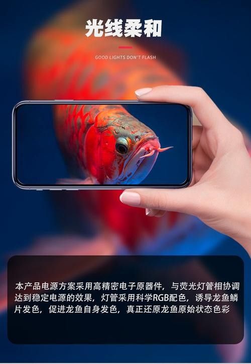 NEC龍魚燈有哪些顏色可選