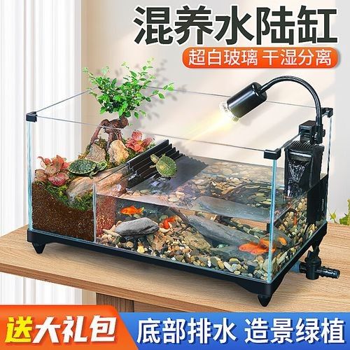推薦幾款適合混養的魚缸品牌（適合混養的魚缸品牌）