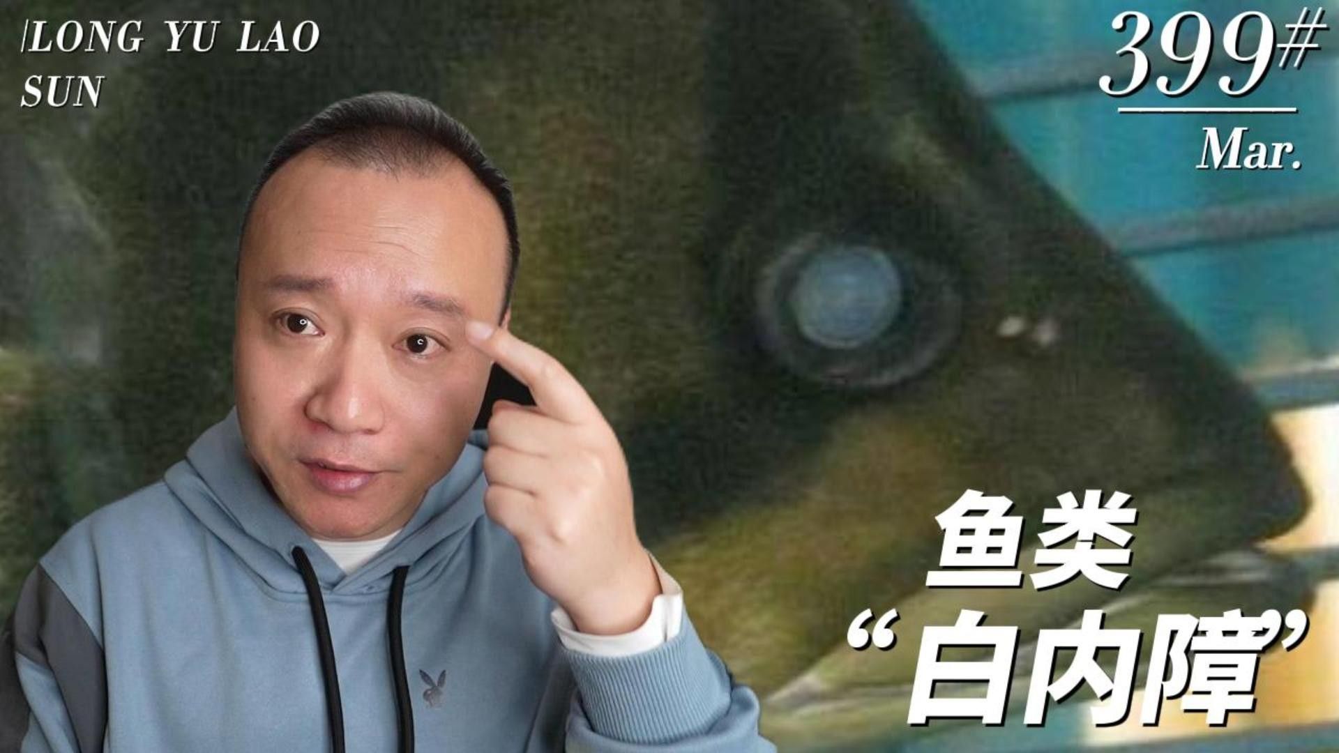 龍魚和虎魚哪個更難養？（龍魚與虎魚的區別）