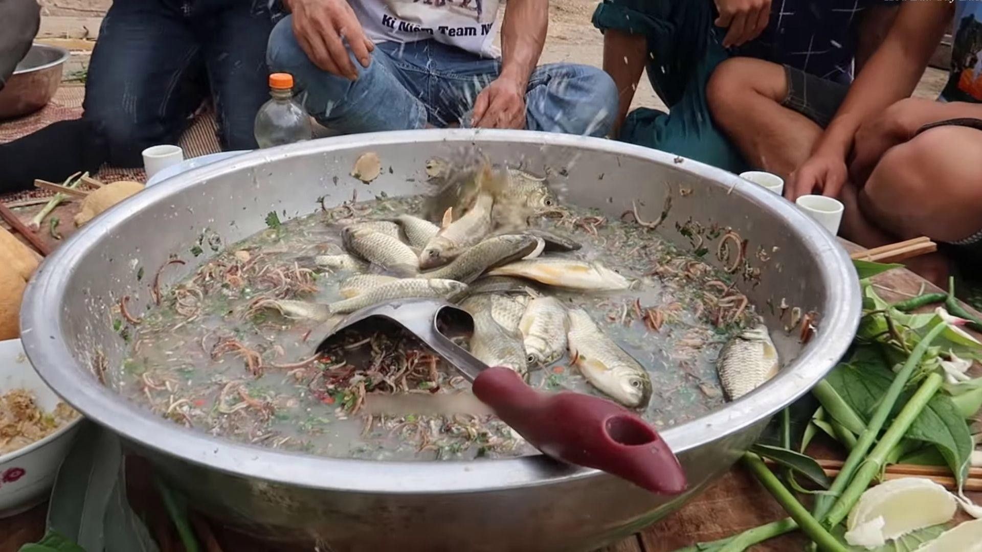 沙拉魚是什么魚（沙拉魚是什么魚？）