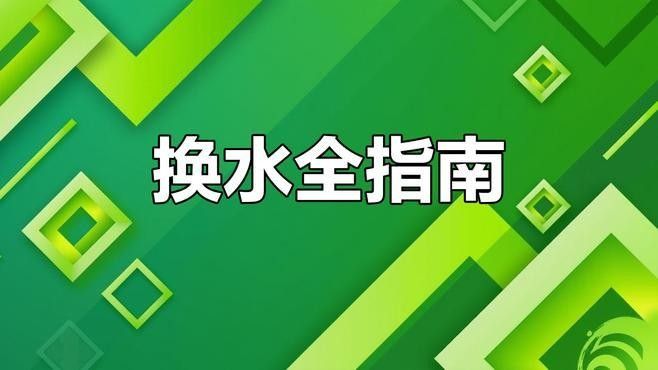 換水時需要清洗魚缸嗎？（養(yǎng)魚老道，魚缸換水技巧大揭秘） 換水時需要清洗魚缸嗎？（養(yǎng)魚老道，魚缸換水技巧大揭秘） 龍魚百科 第4張