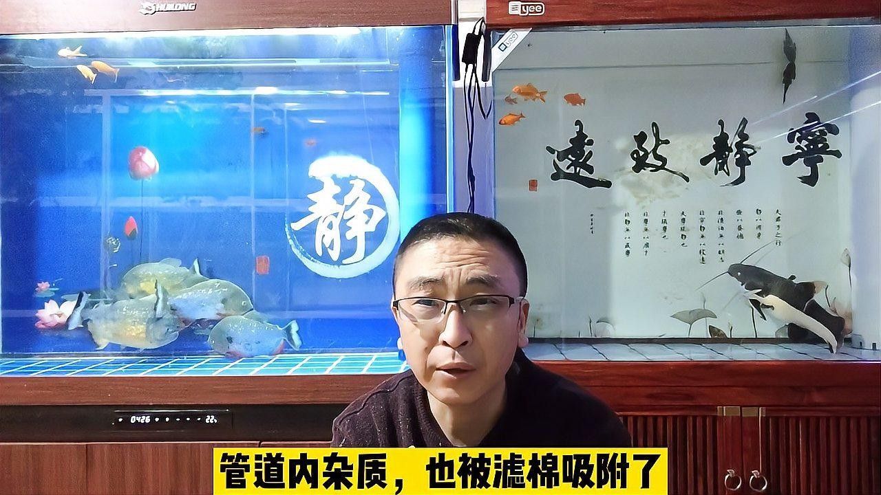 換水時需要清洗魚缸嗎？（養(yǎng)魚老道，魚缸換水技巧大揭秘） 換水時需要清洗魚缸嗎？（養(yǎng)魚老道，魚缸換水技巧大揭秘） 龍魚百科 第2張