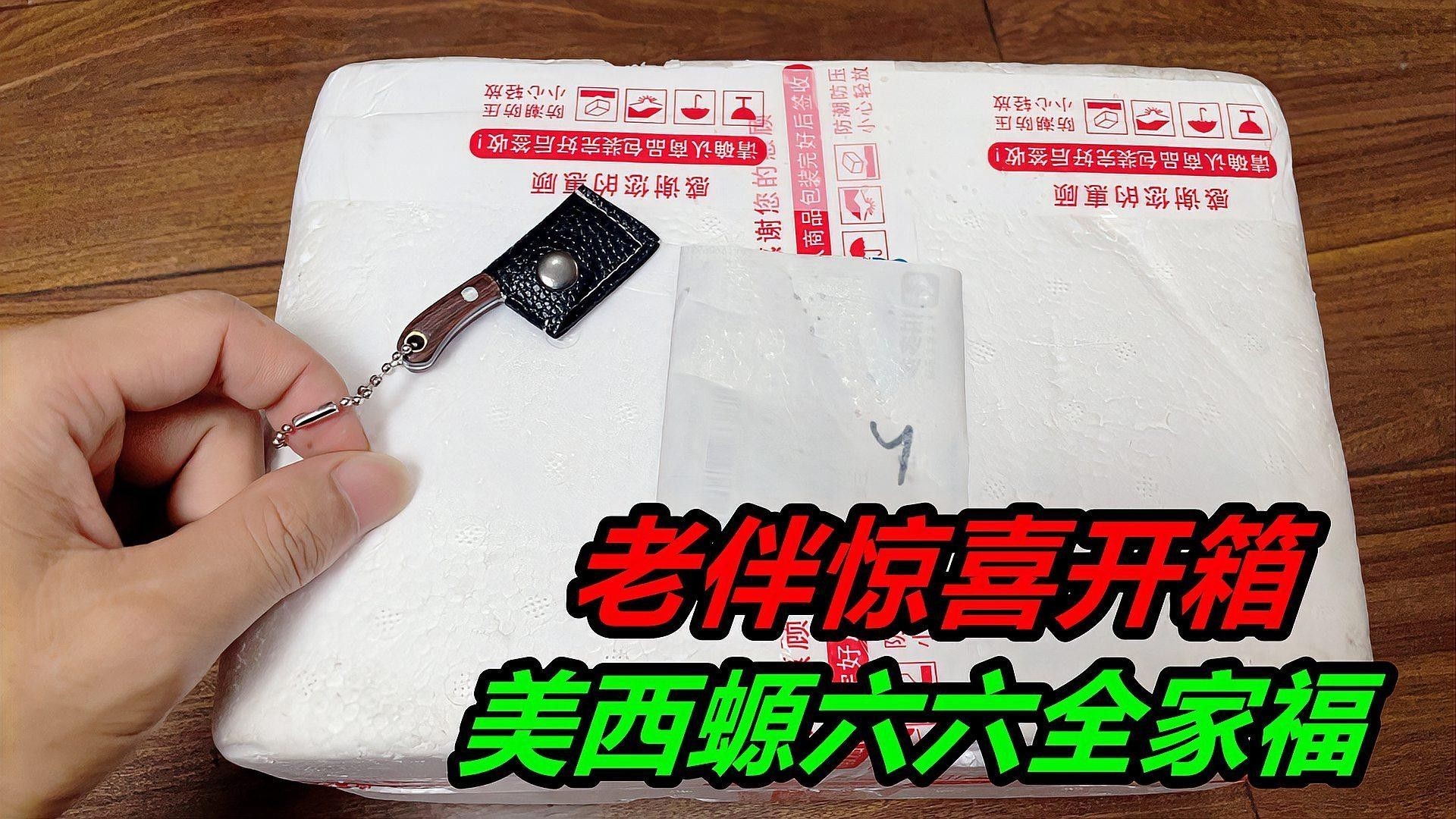 如何辨別六角恐龍魚的品種（如何辨別六角恐龍魚品種） 如何辨別六角恐龍魚的品種（如何辨別六角恐龍魚品種） 龍魚百科 第1張