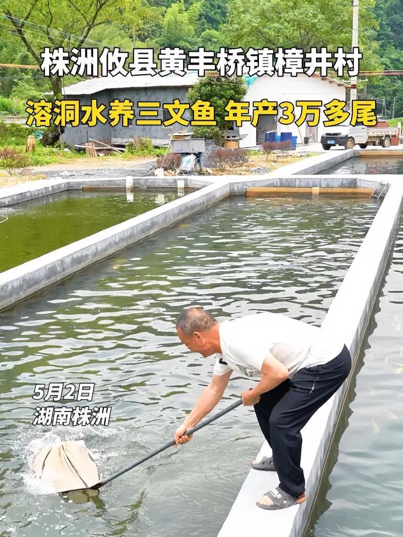 <strong><mark>株洲</mark></strong>養魚基地