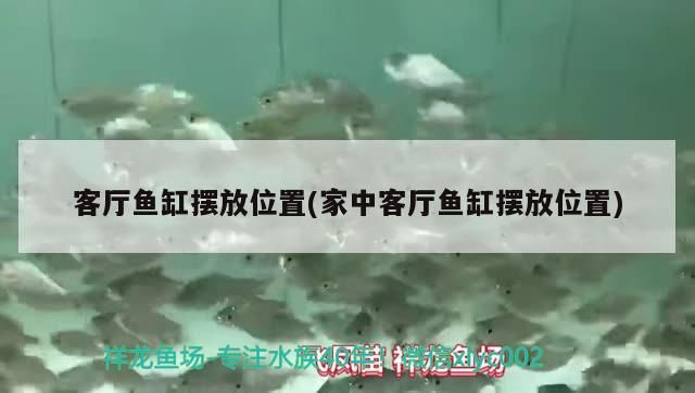客廳魚缸擺放位置(家中客廳魚缸擺放位置) 客廳魚缸擺放位置(家中客廳魚缸擺放位置) 觀賞魚百科