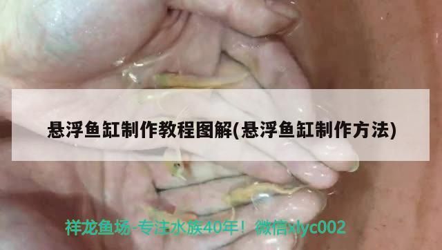 懸浮魚缸制作教程圖解(懸浮魚缸制作方法)