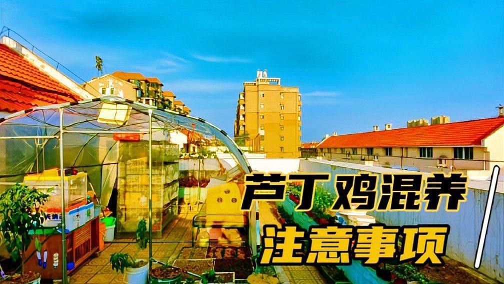 混養時如何控制密度？（如何有效控制動物混養密度） 混養時如何控制密度？（如何有效控制動物混養密度） 龍魚百科 第3張