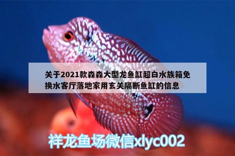 魚缸用增氧泵價格是多少:魚缸增氧機-xtrac增氧機-xtrac增氧機 關于2021款森森大型龍魚缸超白水族箱免換水客廳落地家用玄關隔斷魚缸的信息(2021款森森大型龍魚缸安裝步驟) 觀賞魚百科 關于2021款森森大型龍魚缸超白水族箱免換水客廳落地家用玄關隔斷魚缸的信息(2021款森森大型龍魚缸安裝步驟) 關于2021款森森大型龍魚缸超白水族箱免換水客廳落地家用玄關隔斷魚缸的信息(2021款森森大型龍魚缸安裝步驟) 觀賞魚百科